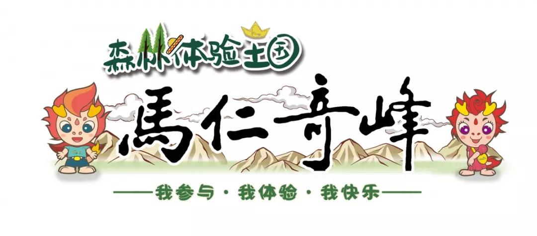 午夜熟女插插XX免费视频