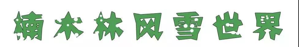 午夜熟女插插XX免费视频