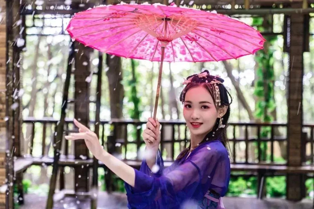 午夜熟女插插XX免费视频