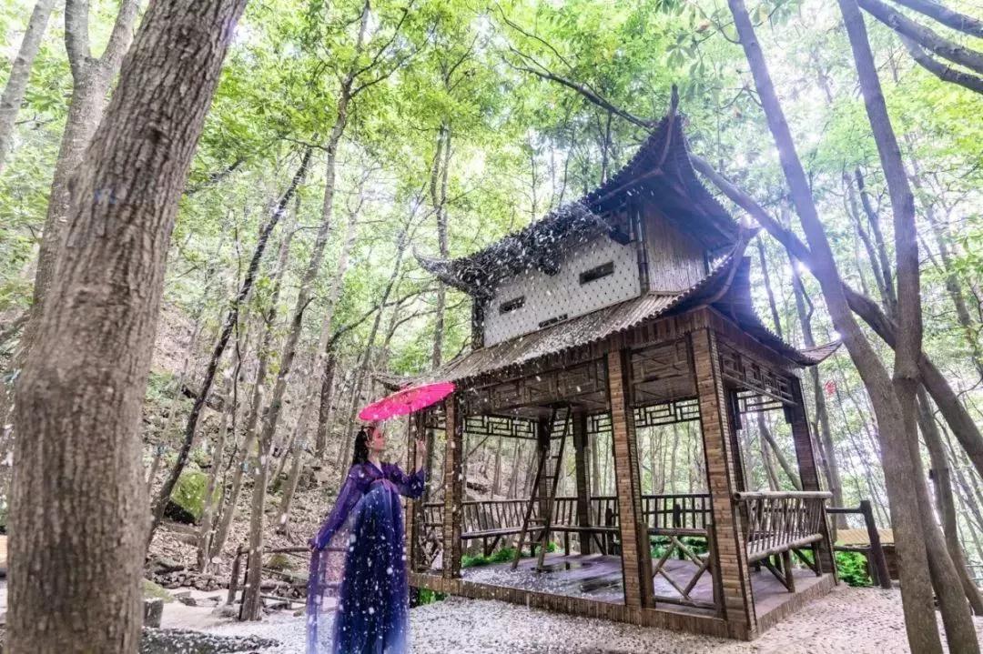 午夜熟女插插XX免费视频