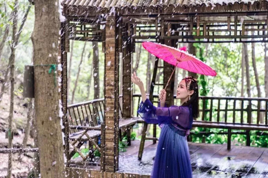 午夜熟女插插XX免费视频