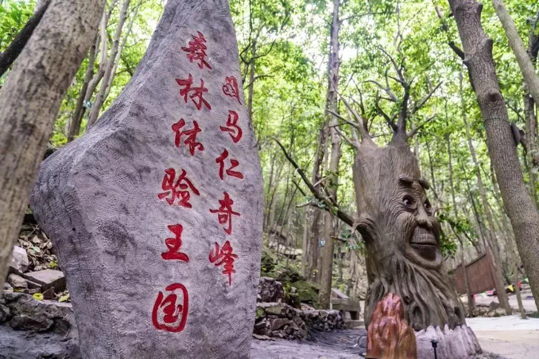 午夜熟女插插XX免费视频