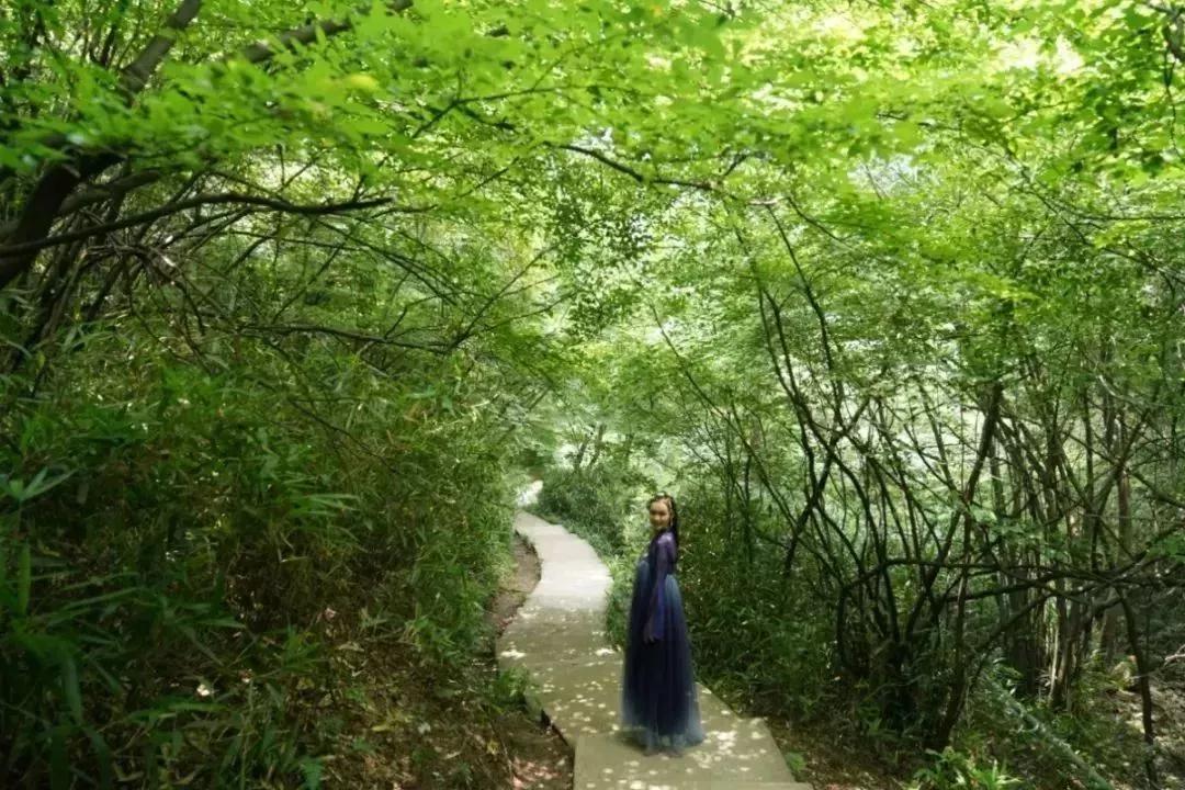 午夜熟女插插XX免费视频