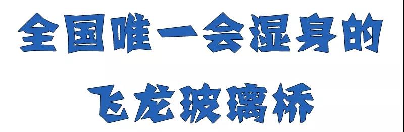 午夜熟女插插XX免费视频