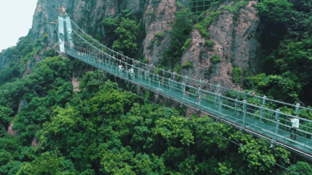 午夜熟女插插XX免费视频