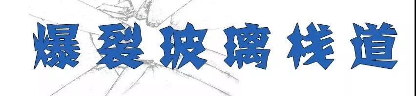 午夜熟女插插XX免费视频