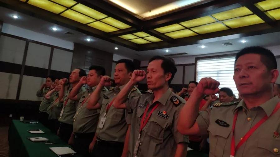 午夜熟女插插XX免费视频