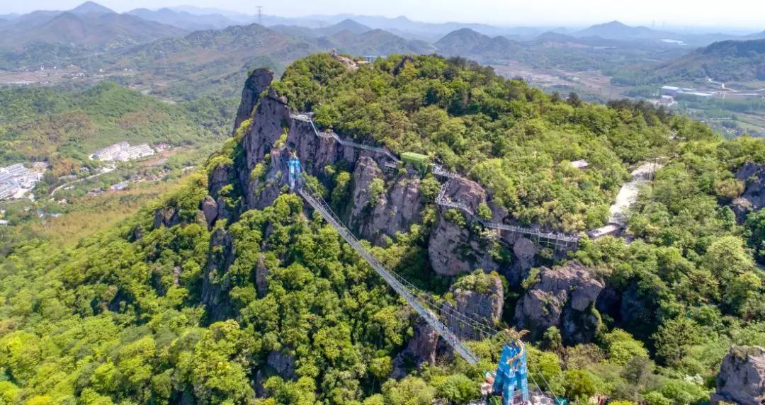 午夜熟女插插XX免费视频