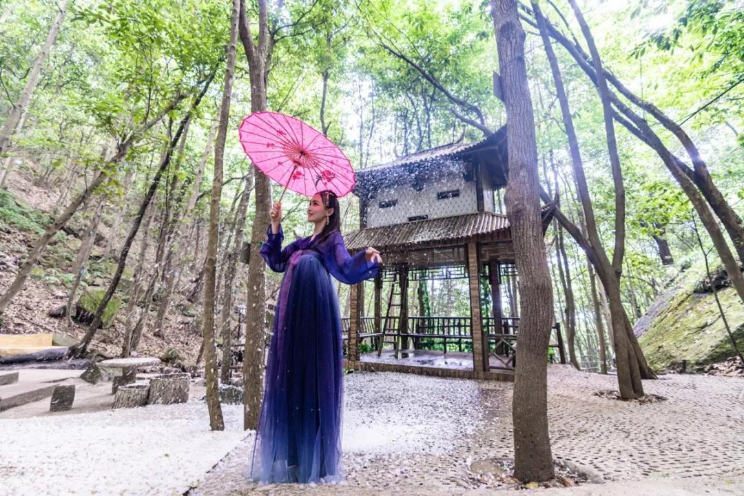 午夜熟女插插XX免费视频