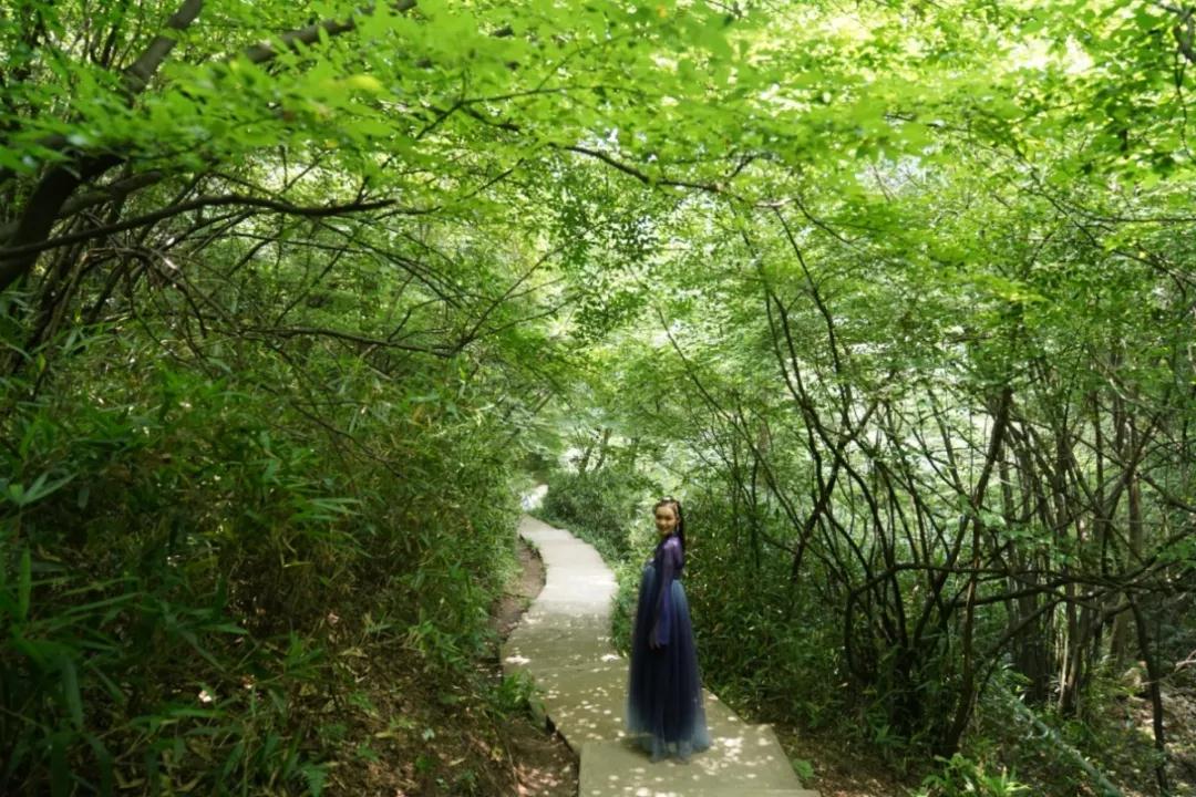 午夜熟女插插XX免费视频