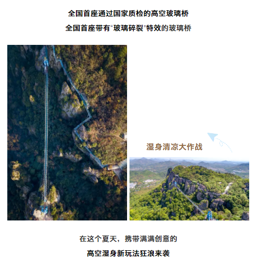 午夜熟女插插XX免费视频