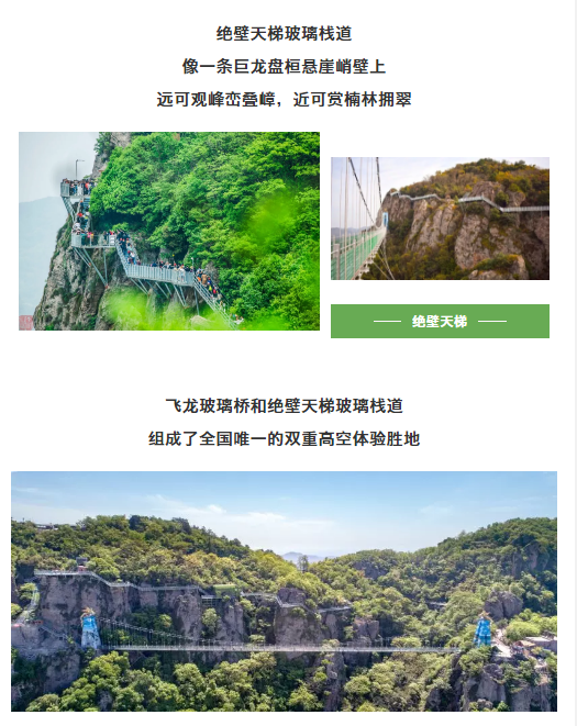 午夜熟女插插XX免费视频