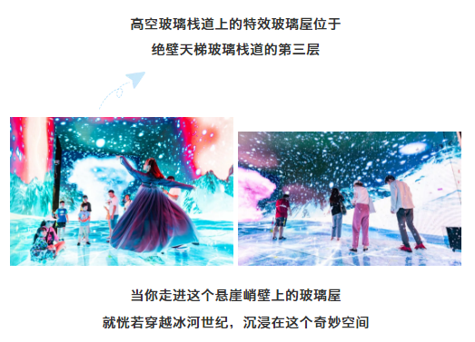 午夜熟女插插XX免费视频