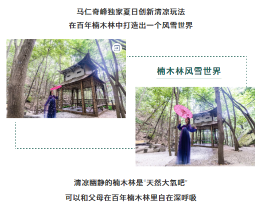 午夜熟女插插XX免费视频