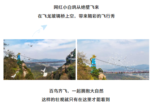 午夜熟女插插XX免费视频