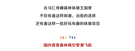 午夜熟女插插XX免费视频