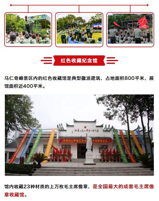 午夜熟女插插XX免费视频