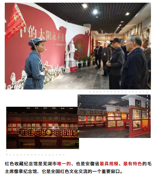 午夜熟女插插XX免费视频