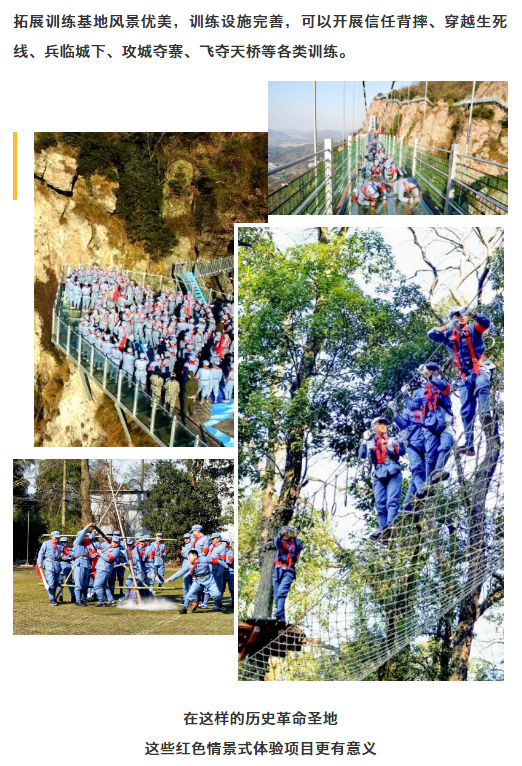 午夜熟女插插XX免费视频