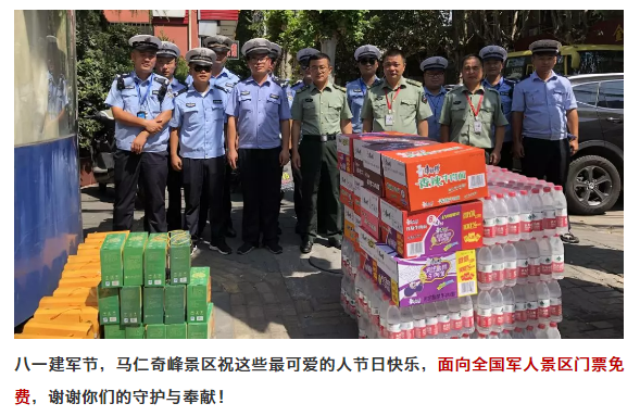 午夜熟女插插XX免费视频