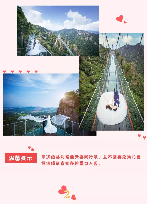 午夜熟女插插XX免费视频