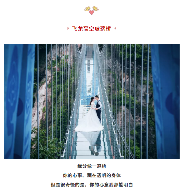 午夜熟女插插XX免费视频