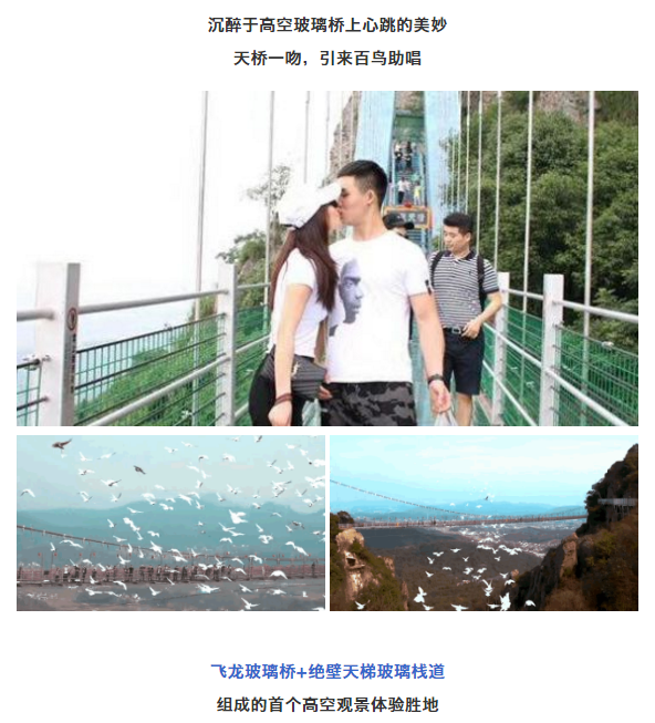 午夜熟女插插XX免费视频