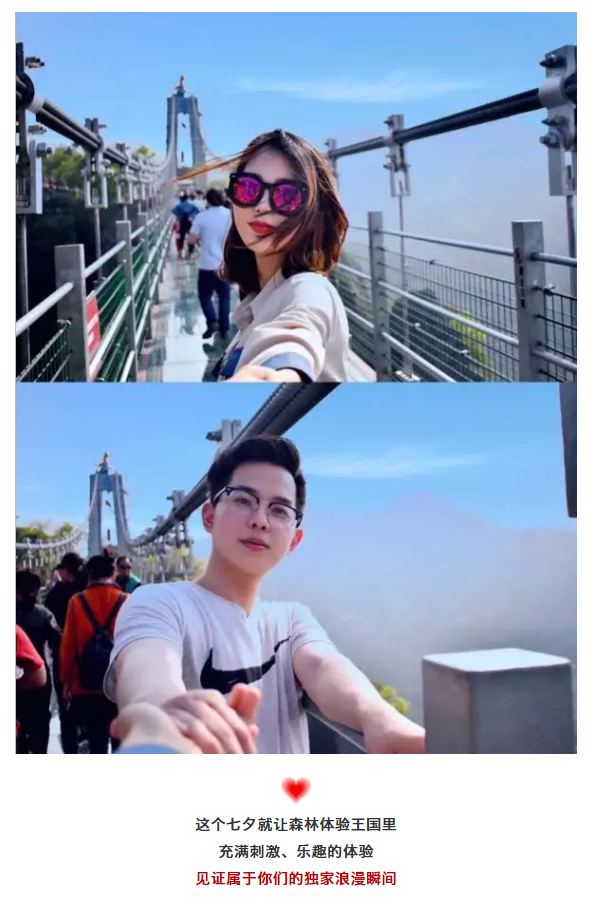 午夜熟女插插XX免费视频