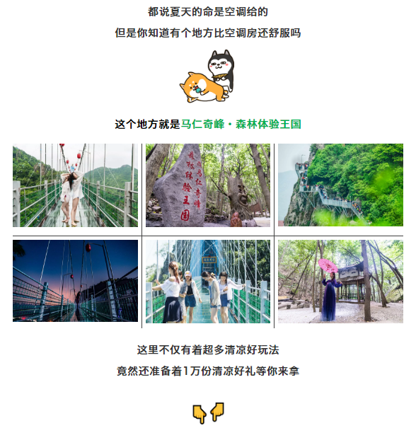 午夜熟女插插XX免费视频