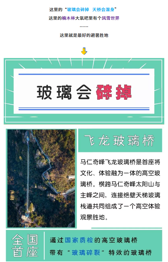 午夜熟女插插XX免费视频