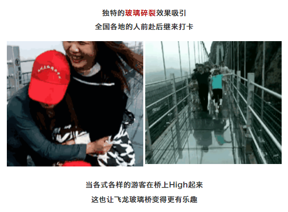 午夜熟女插插XX免费视频