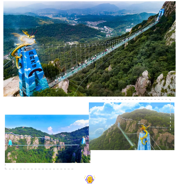 午夜熟女插插XX免费视频