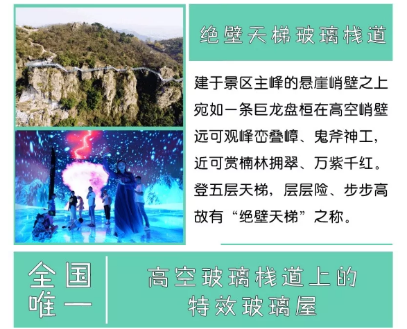 午夜熟女插插XX免费视频