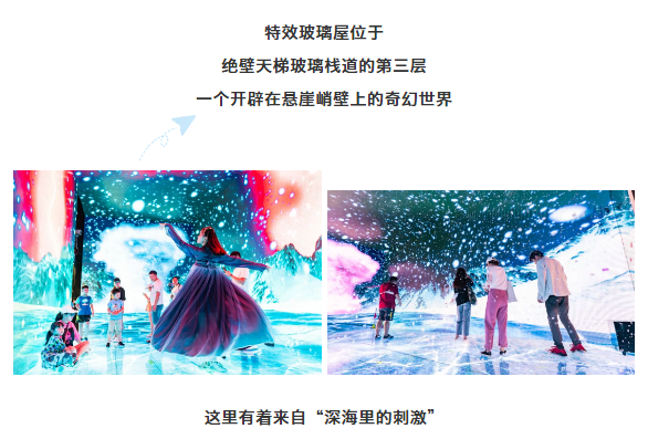 午夜熟女插插XX免费视频