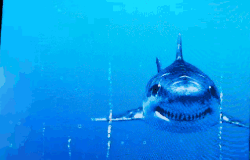 午夜熟女插插XX免费视频