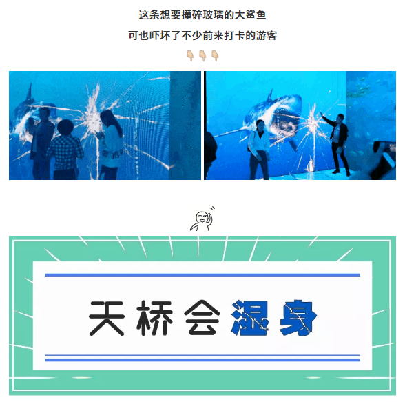 午夜熟女插插XX免费视频