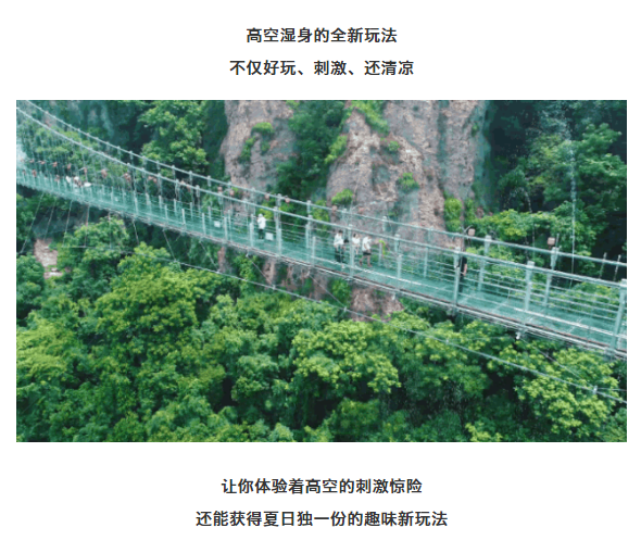 午夜熟女插插XX免费视频