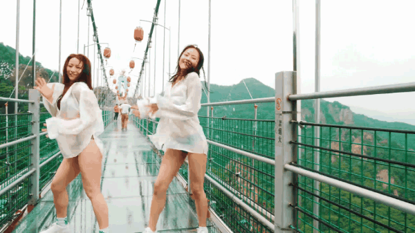 午夜熟女插插XX免费视频