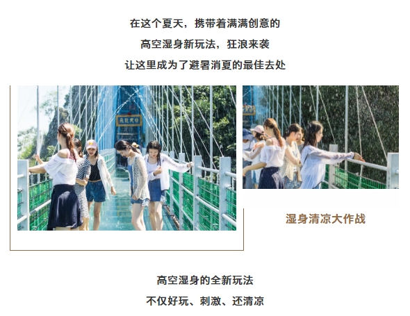 午夜熟女插插XX免费视频