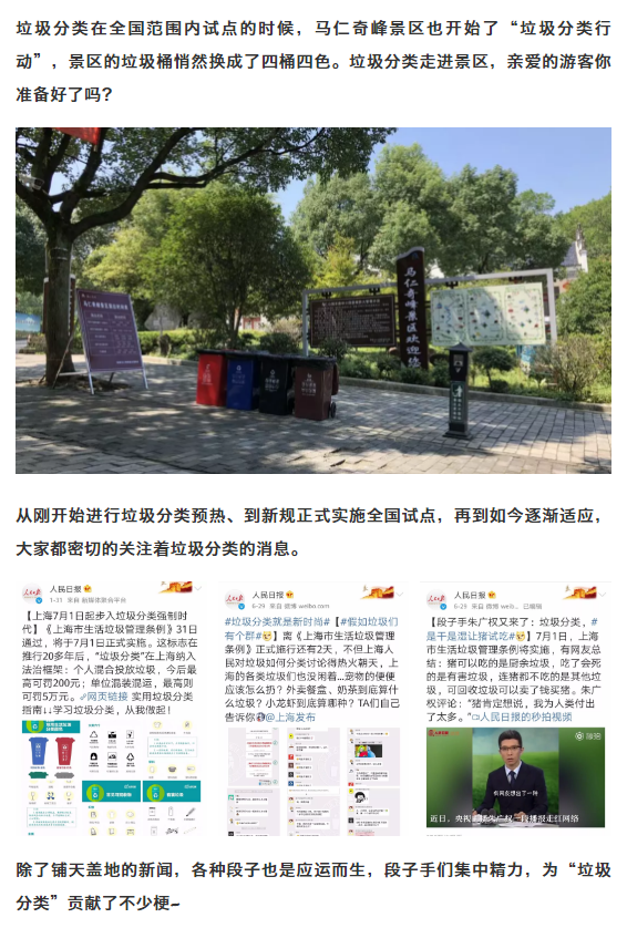 午夜熟女插插XX免费视频