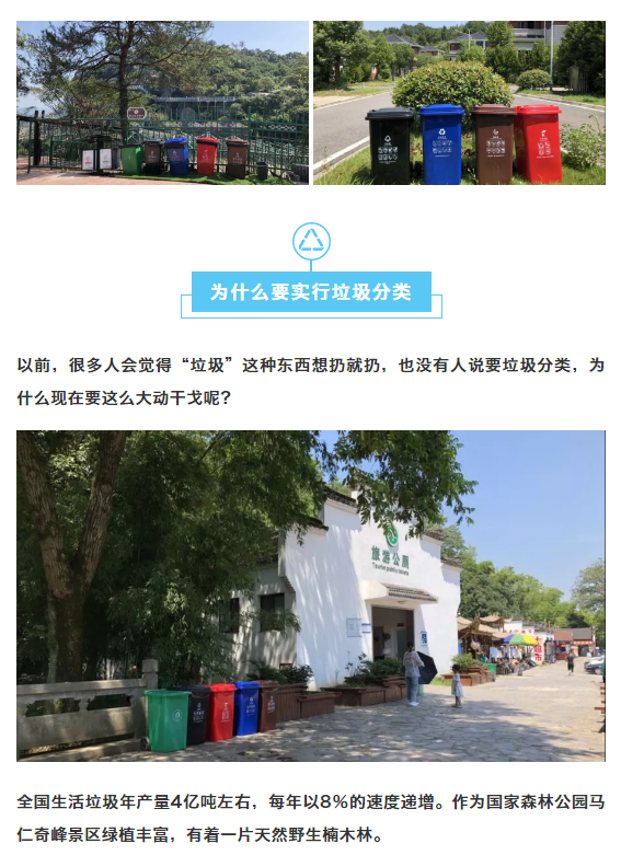 午夜熟女插插XX免费视频