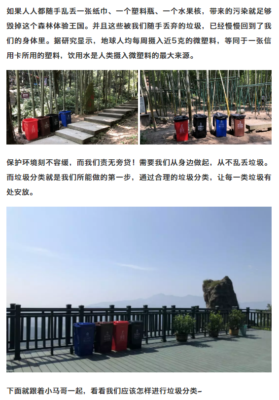 午夜熟女插插XX免费视频