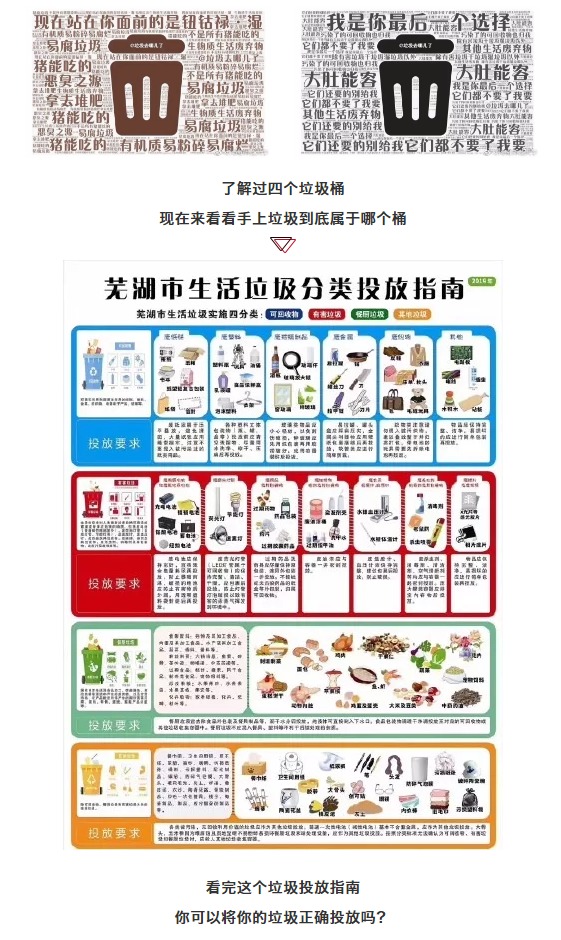 午夜熟女插插XX免费视频