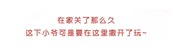 午夜熟女插插XX免费视频