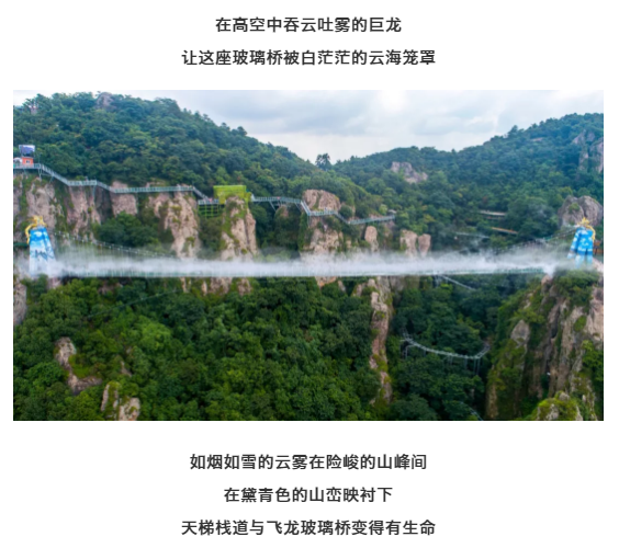 午夜熟女插插XX免费视频