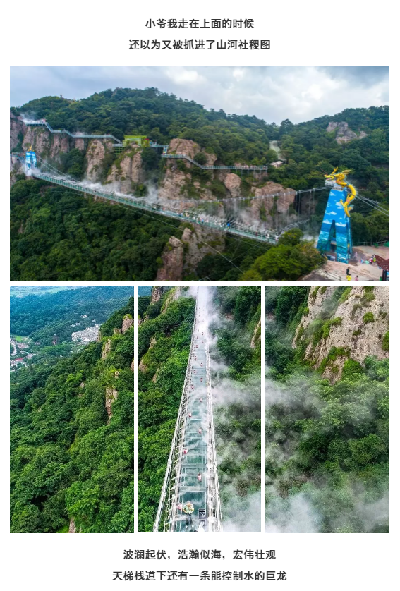 午夜熟女插插XX免费视频