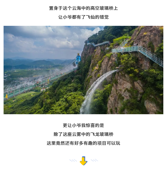 午夜熟女插插XX免费视频