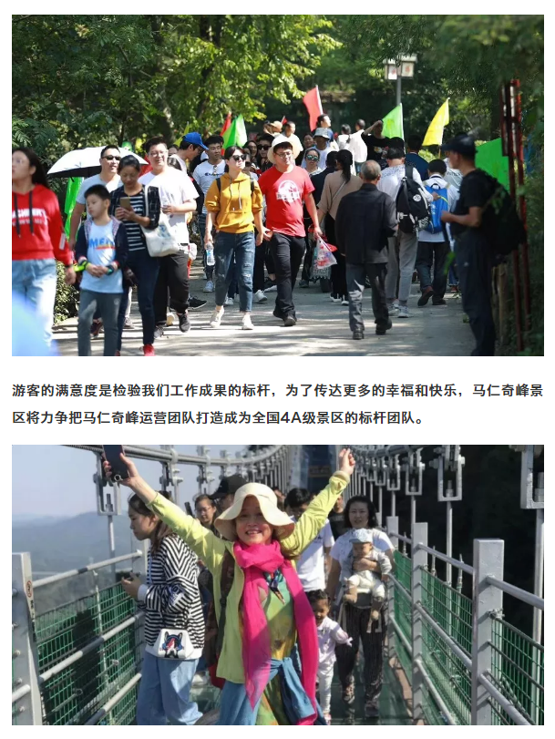 午夜熟女插插XX免费视频