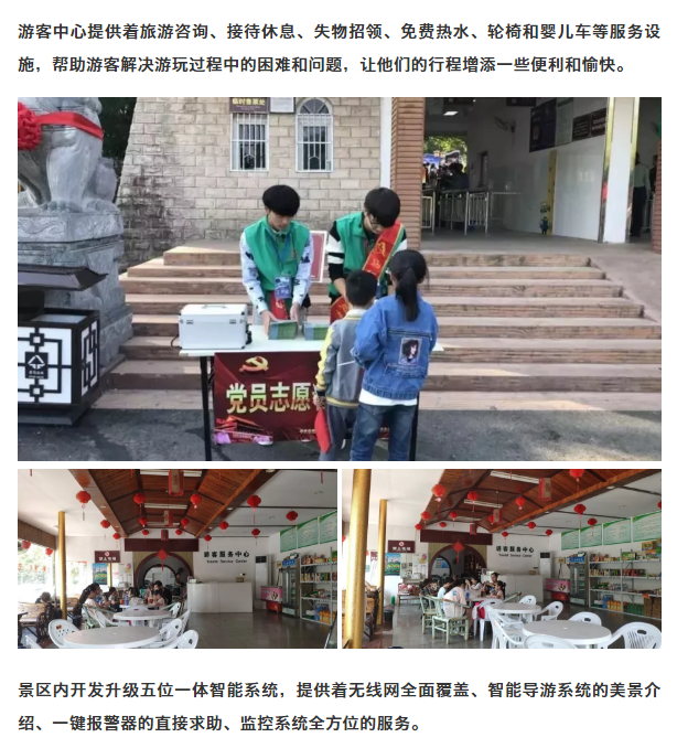 午夜熟女插插XX免费视频