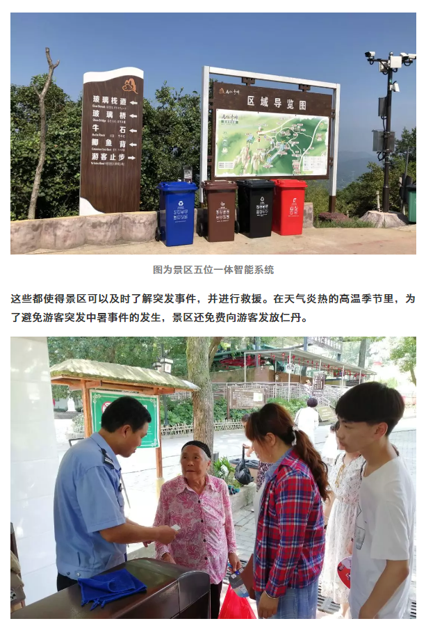 午夜熟女插插XX免费视频